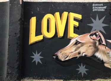 Murals - Street Art (9)